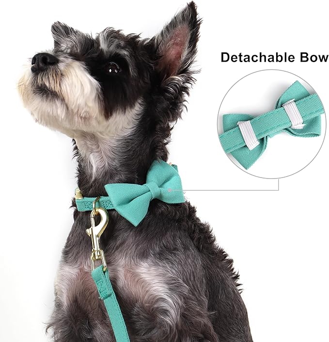 Beirui Adorable Small Dog Harness Collar and Leash Set,Cute Puppy Harness Set with 3 Bows for Small Dogs,Shih Tzu,Dachshund,Adjustable Step-in Vest for Daily Walking,Parties&Holiday Outfits(Teal,S)