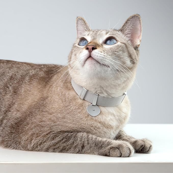 Safety Cat Collar Pro and Tag Set - U.S. IDA Gold Award, Elastic Release Cat Collar Charm Tag, Non Breakaway Cat Collar Adjustable with Charm for Kitten Small Large Cats (Olive, S)