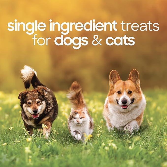 smallbatch Pets Premium Freeze-Dried Turkey Heart Treats for Dogs and Cats, 3.5 oz, Made and Sourced in The USA, Single Ingredient, Humanely Raise Meat, No Preservatives or Anything Artificial Ever