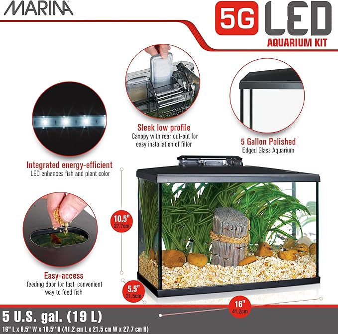 Marina 5 Gallon (19 L) LED Aquarium Kit – Ideal for Beginner Aquarists and New Fish-Keepers