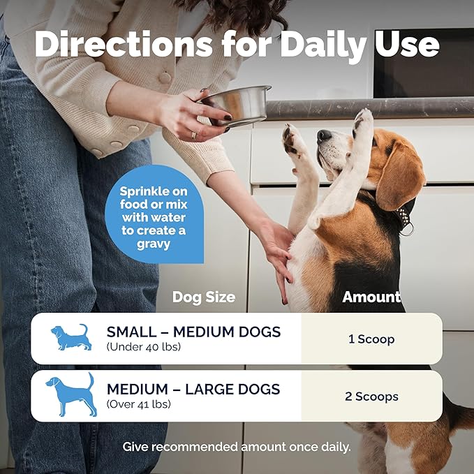 Vetnique Glandex Daily Probiotics for Dogs with Prebiotics to Support Gut Health with Fiber and Digestive Enzymes, Probiotic Chews or Powders (8.5oz Powder, Pork Powder)