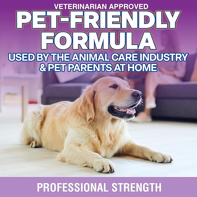 OdorPet Pet Stain Remover and Odor Eliminator - 16 Oz Ready To Use Spray, Non Staining, Professional Strength, Lavender Scent by Alpha Tech Pet