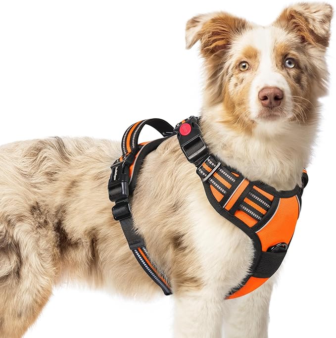 rabbitgoo Dog Harness Medium Sized, No Pull Pet Harness with 3 Buckles, Adjustable Soft Padded Vest with Control Handle, Walking Reflective Pet Vest for Medium Dogs, Orange, M