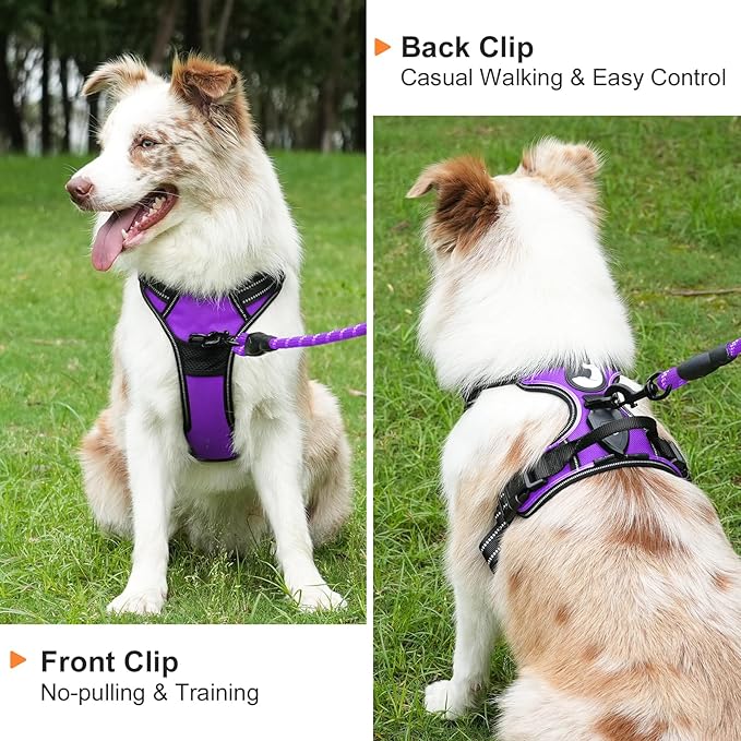 Taglory Light Up Dog Harness, Rechargeable No Pull Dog Vest with 3 Lightning Modes, Reflective Dog Harness with 2 Leash Clips & 4 Adjustable Slide Strips for Medium Dogs, Purple-Orange, M