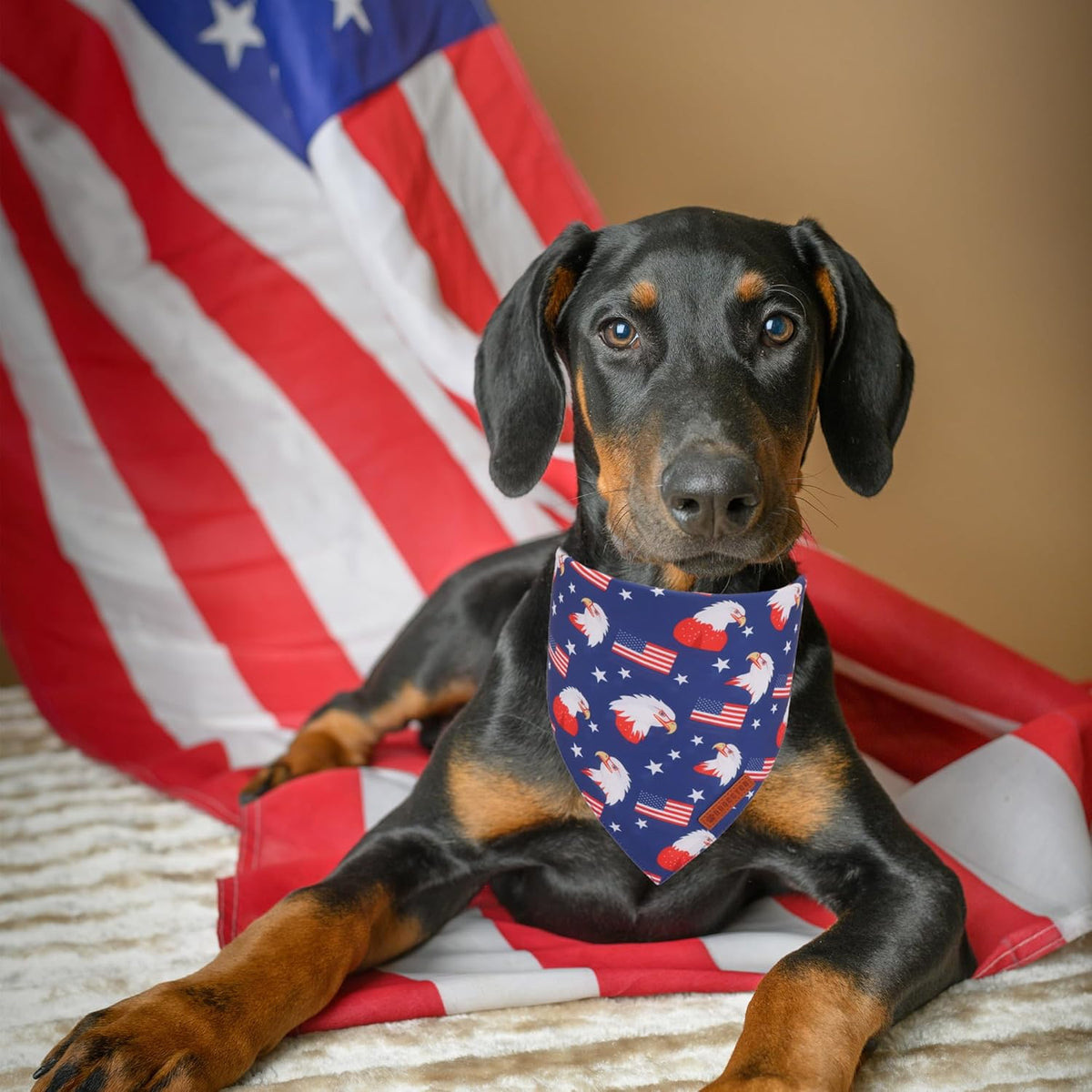 ADOGGYGO American Flag Dog Bandanas, Red Blue Patriotic Eagles USA Flag Scarf, Multi Size, 4th of July Bandana for Medium Large Dogs Pets (Large)