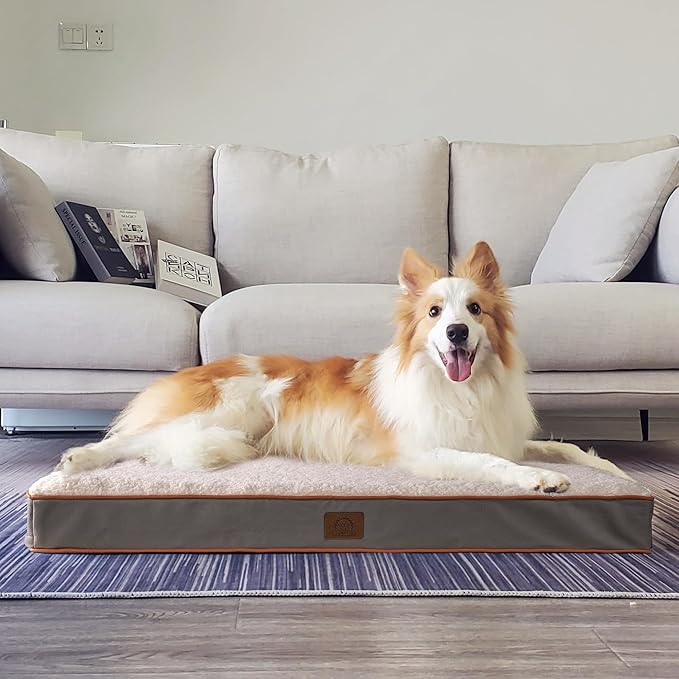 Sunheir Extra Large Dog Bed - Orthopedic Bed with Removable Waterproof Cover, Machine Washable, Egg Crate Foam, XL(41"X27"X3"), Light Grey