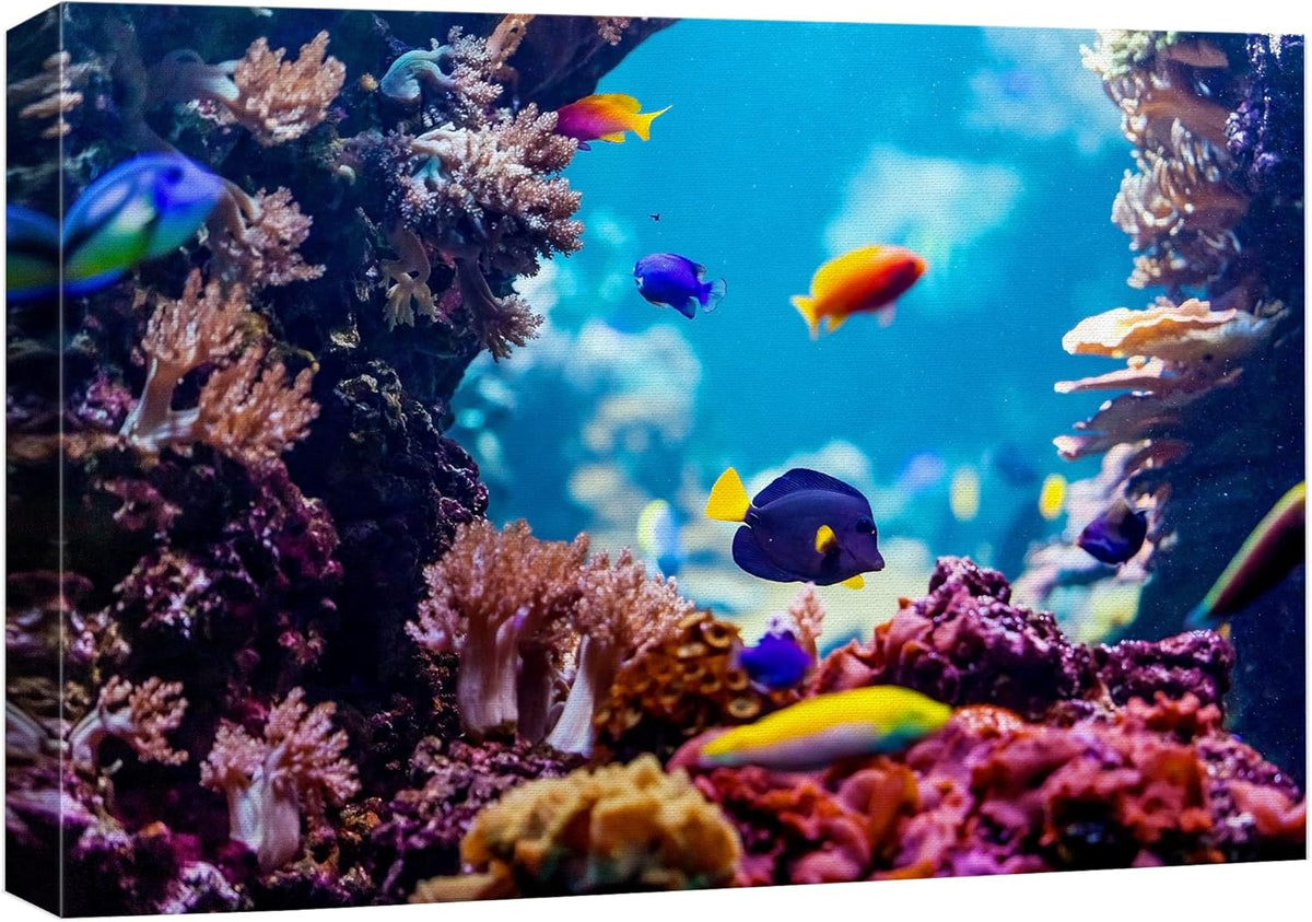 wall26 Canvas Print Wall Art Vibrant Blue Pink Coral Reef Blue Hippo Tang Nature Animals Photography Realism Rustic Scenic Landscape Wilderness Colorful for Living Room, Bedroom, Office - 16"x24"