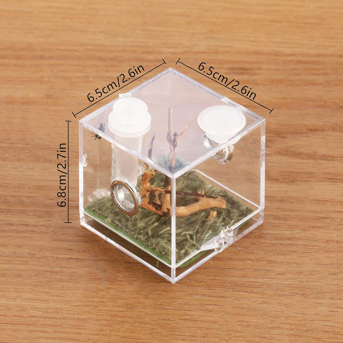 crapelles Jumping Spider Micro Big Habitat, Small Pet Insect Breeding Box, 360 Degree High Transparent Reptile Cage, Acrylic Case Mini Carrier for Amphibians, Feeding Container Enclosure Accessories