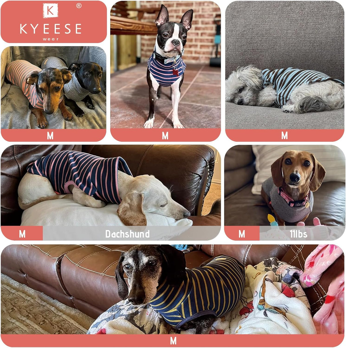KYEESE 2Pack Dog Sweater Soft Dogs Clothes Warm Dachshund Clothes Stretchy Pet Sweatshirt Dog Sweaters for Small Dogs Girl Turtleneck Pet Coats Pullover Small Pets Sweaters