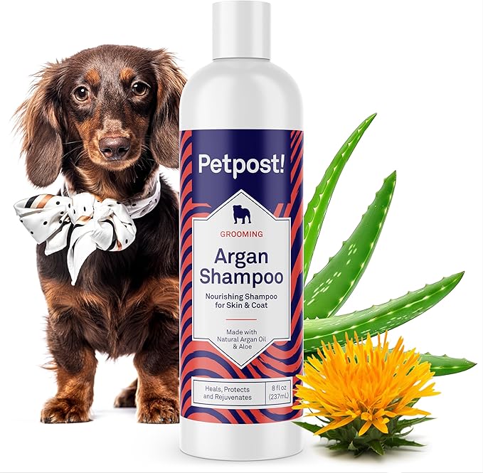 Petpost | Argan Shampoo for Dogs. Dog Shampoo with Argan Oil & Aloe. Moisturizes Dry Skin, Softens Coat, Restores Shine. 8 oz