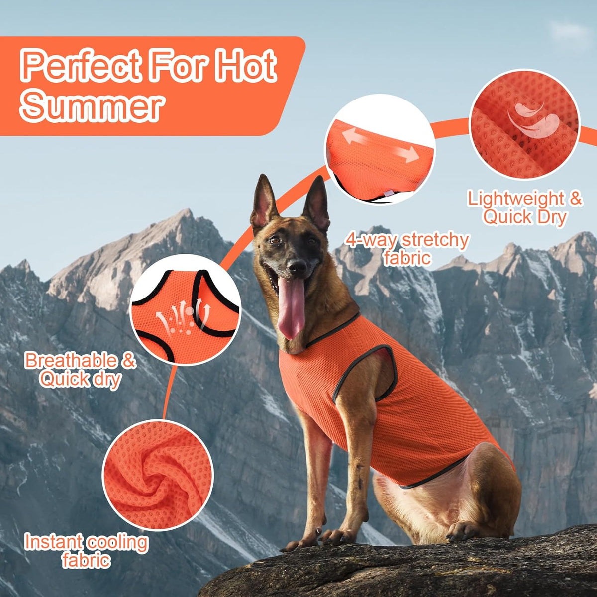 2 Pack Cooling Shirts for Dogs, Lightweight Mesh Breathable Dog Clothes for Small Dogs Boy Girl,Sun-Protection Sleeveless Shirts for Dog&Cat Puppy Vest Pet Apparel - S