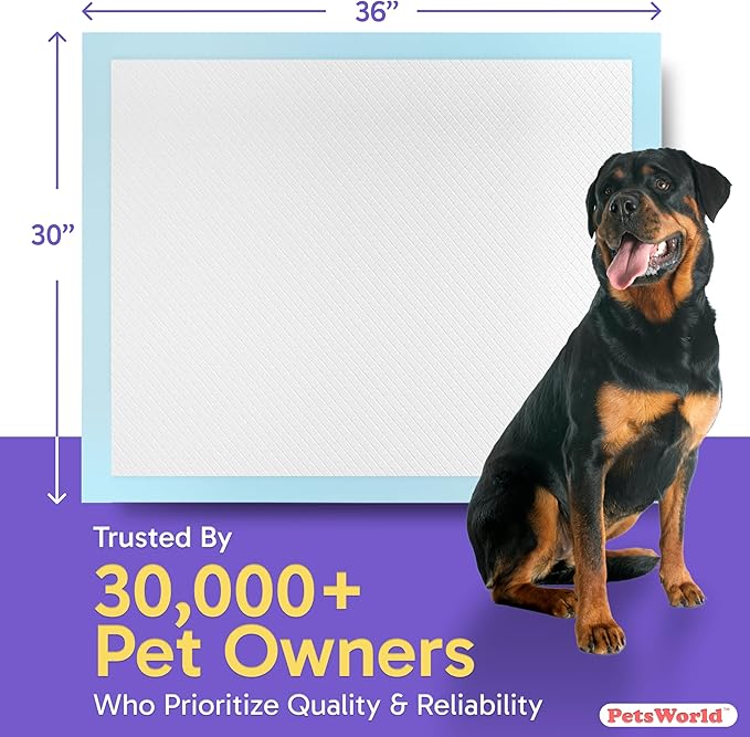 PetsWorld XL Dog Pee Pads 30"x36", 300-Count – Heavy Duty, Leak-Proof Potty Training Pads for Puppies & Large Dogs, Super Absorbent, Quick-Dry Disposable Pads with Odor Control