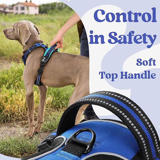 rabbitgoo Dog Harness for Large, No Pull Pet Harness with 3 Buckles, Adjustable Soft Padded Vest with Control Handle, Walking Reflective Pet Vest for Large Dogs, Blue, L