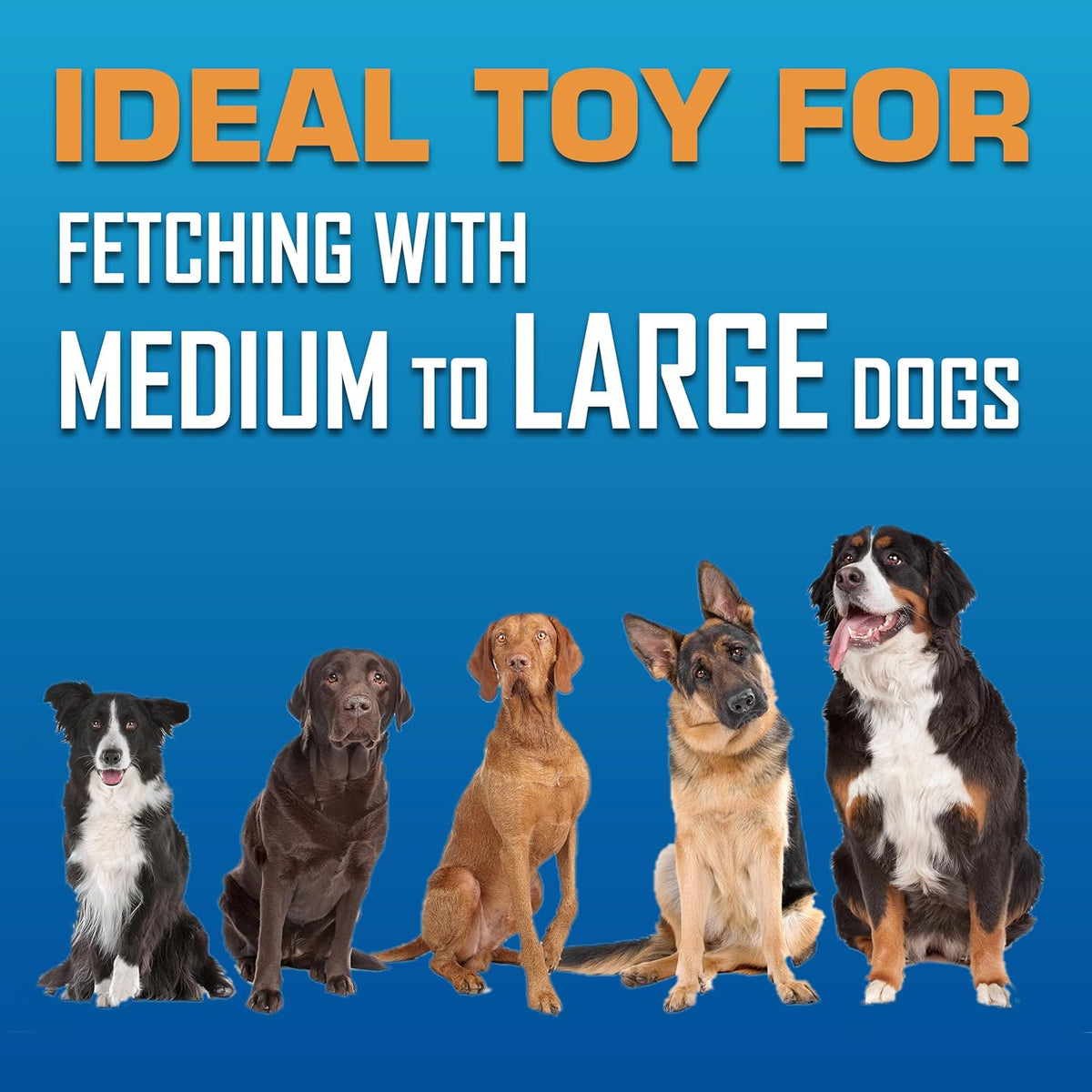 Nerf Dog Atomic Flyer Outdoor Dog Toy, 10 Inch Flying Disc Dog Fetch Toy, Rubber Dog Toy for Medium Dogs and Large Dogs, Green