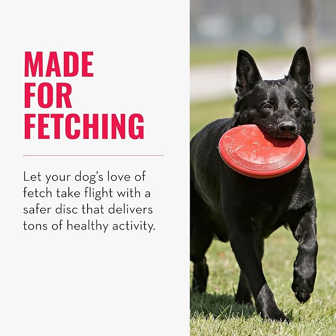 KONG Flyer - Durable Dog Toy for Outdoor Playtime - Natural Rubber Flying Disc, Dog Toy for Fetch - Safer Disc for Healthy Activity - for Small Dogs (Pack of 2)