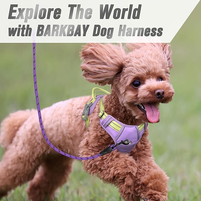 BARKBAY No Pull Dog Harness Front Clip Heavy Duty Reflective Easy Control Handle for Large Dog Walking(Violet Purple & Sunlight,S)