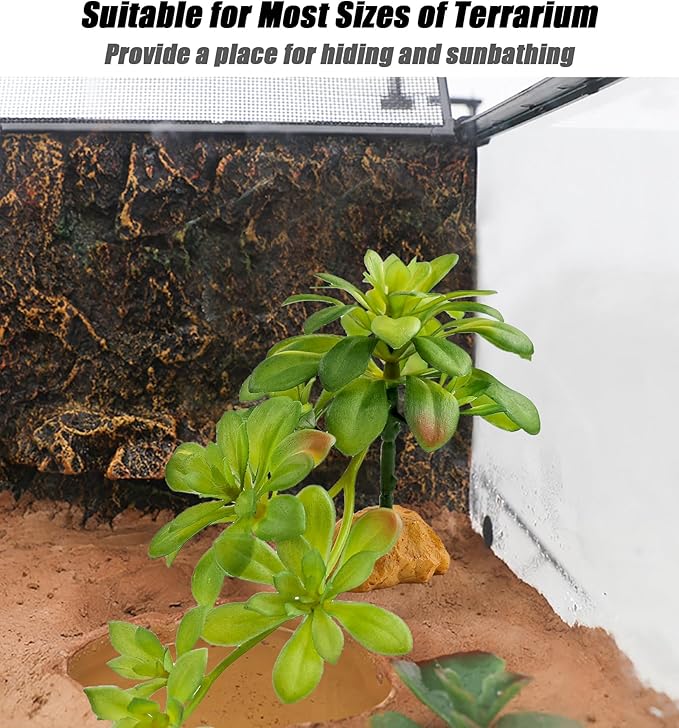 Woyrise Reptile Plants Succulent, Artificial Desert Plant for Terrarium Decor, Bearded Dragon Tank Accessories fit Gecko Lizard Chameleon Ball Python Snake - Sedum Palmeri