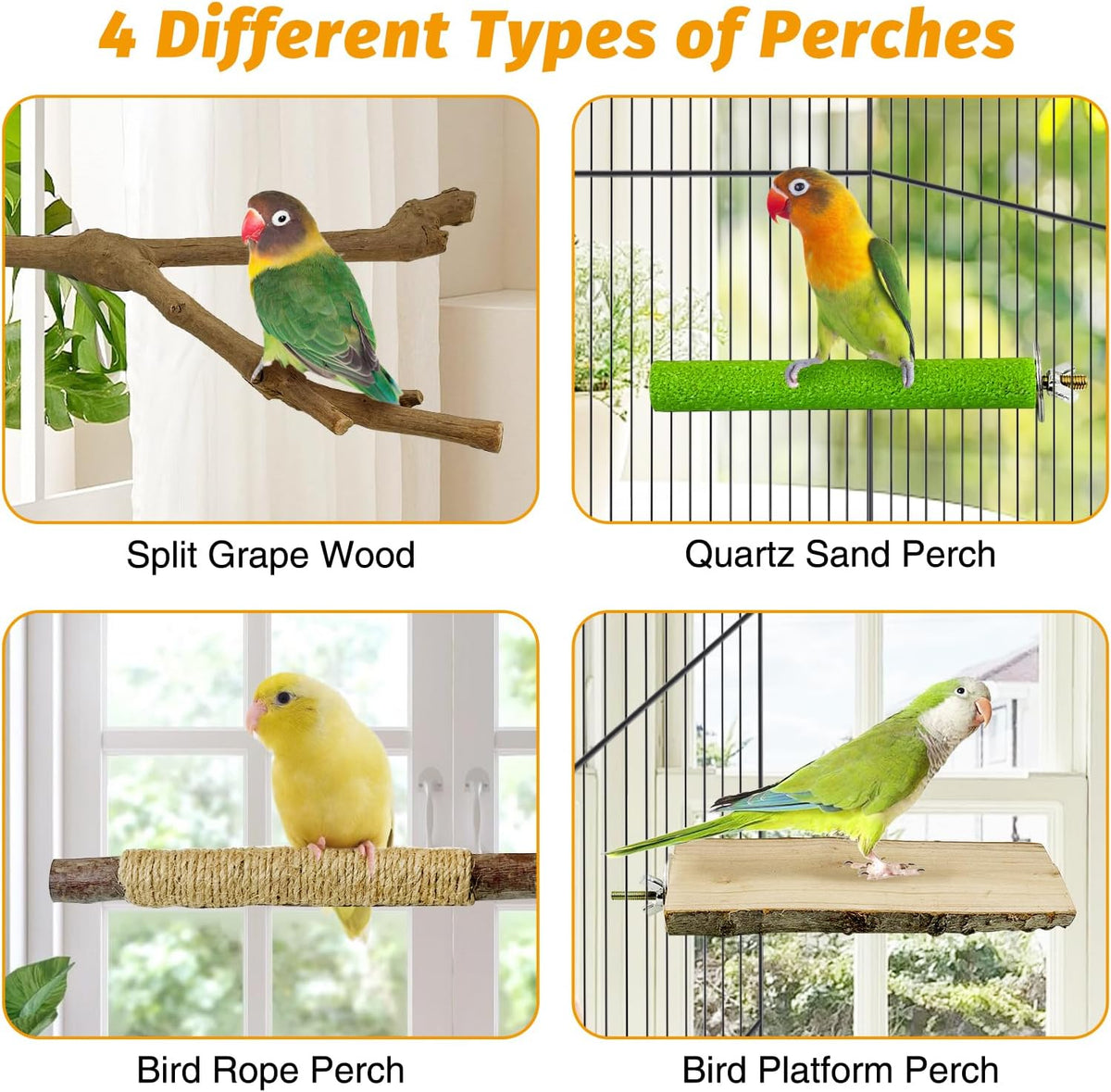 kathson 5pcs Natural Parrot Perch for Cage Wooden Bird Perches Grape Bird Stick Parakeet Climbing Standing Branches Toy Chewable Cage Accessories for Small Budgies Cockatiels Lovebirds Budgies