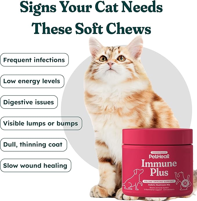 Immune Plus Chews for Cats - Vet-Reviewed - Boosts Immunity & Liver Health with Turkey Tail, Reishi & Milk Thistle | Promotes Shiny Coat & Reduces Lumps | 60 Chicken-Flavored Soft Chews