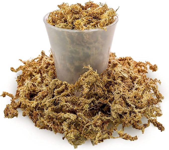 Premium New Zealand Sphagnum Moss by Gardenera - Organic Hand Mixed Long Fibered Sphagnum Moss Orchid - 3 Quart