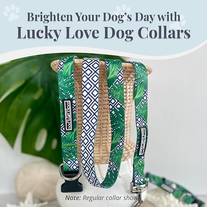 Lucky Love Dog Collar, Beautiful & Vivid Pattern Small Boy Dog Collars, Easy On & Off Clasp Accessory (Blue Laguna, S)