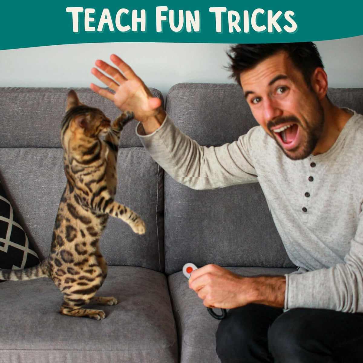 ALBERT & MIA Cat Clicker Training Kit + The Click Crusade Bundle (Cat Training Card Game Guide to Clicker Training for Cats for Teaching Tricks, Improving Communication and Bonding with Your Kitten