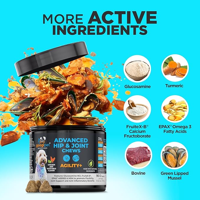 Googipet Premium Hip and Joint Supplement for Dogs - Glucosamine Soft Chews w/Green Lipped Mussels for Dogs, Dog Joint Supplement Turmeric for Mobility, Ages, & Breeds