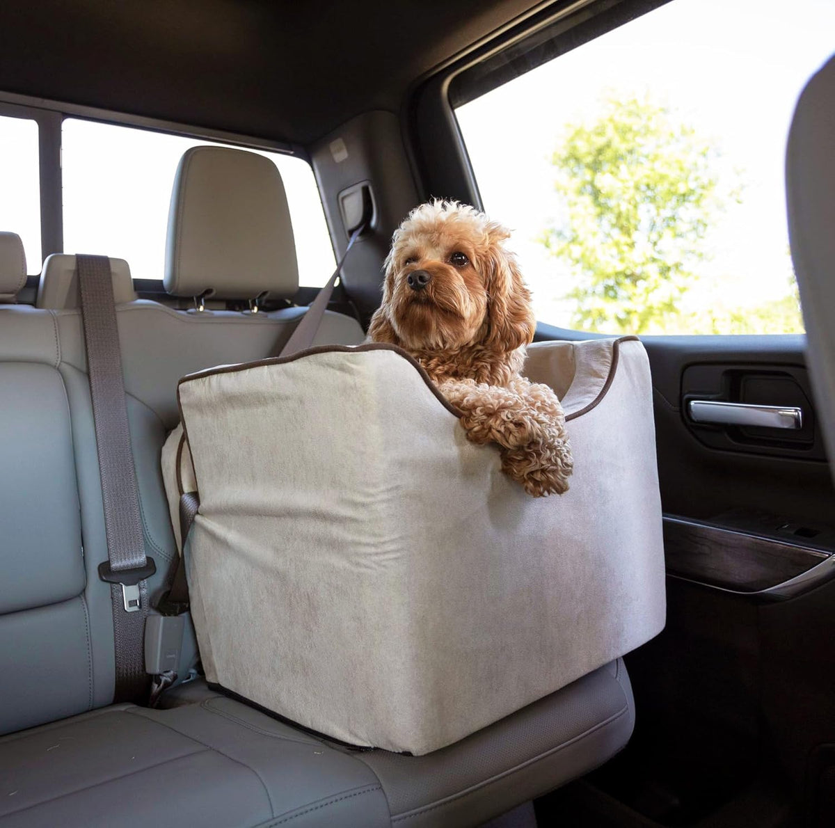 Snoozer Dog Car Seat: Lookout I Dog Booster Car Seat for Dogs Small 5-15 lbs, Pet Car Seat to Alleviate Car Sickness for Dogs, Included Harness Strap, Buckskin Removable Machine Washable Cover