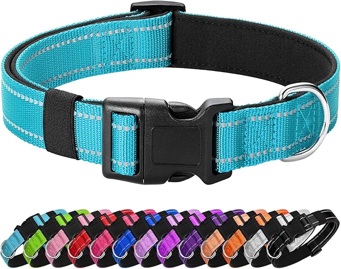 Reflective Dog Collar Padded with Soft Neoprene Breathable Quick Release Basic Dog Collars for Puppy Small Dogs Sky Blue