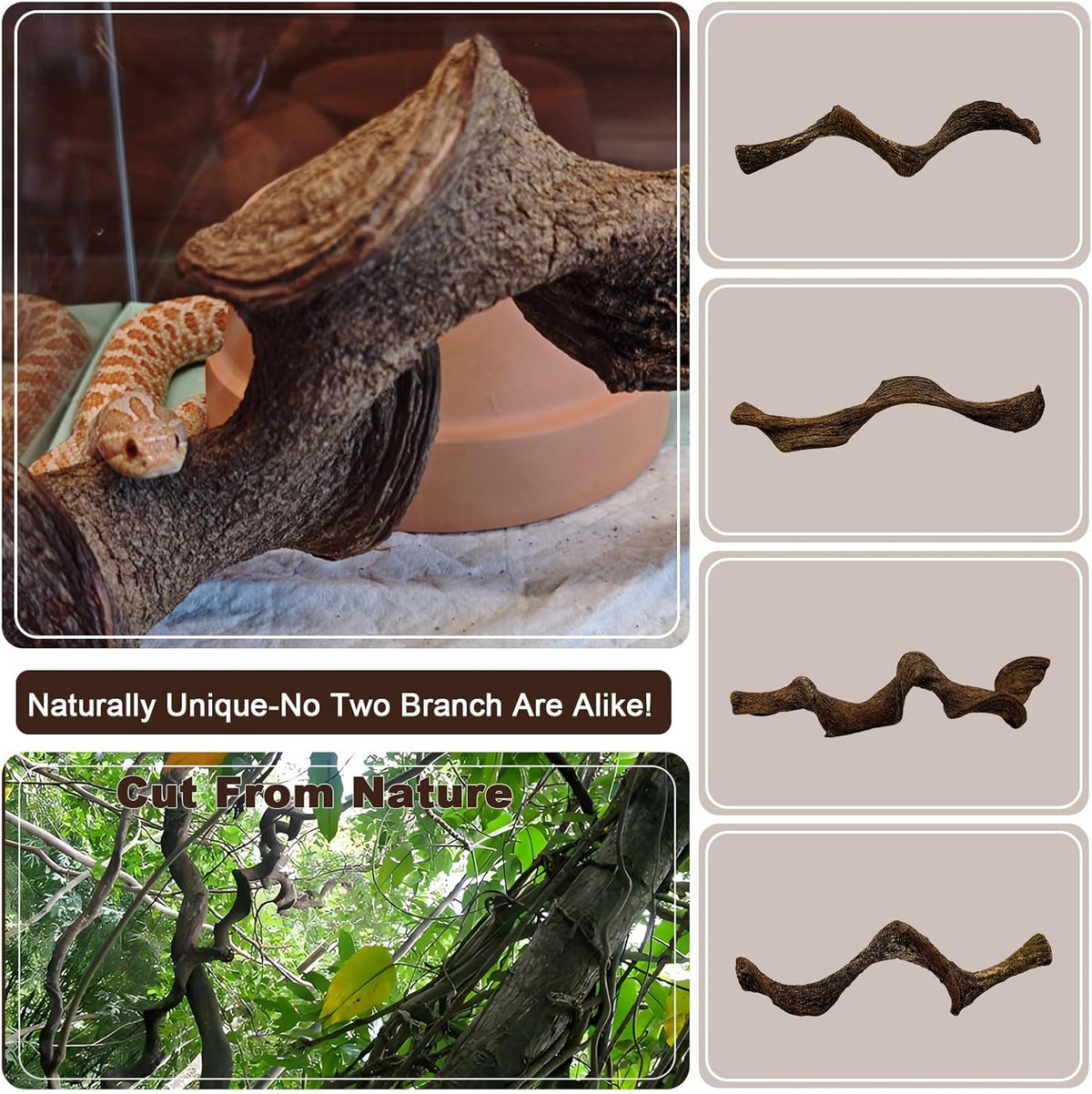 BNOSDM 3 Pcs Reptile Climbing Branches Decor,Snake Climbing Branch,Gecko Climb Wood,Lizard Forest Branch,Tank Habitat Tree Trunk Decorations for Bearded Dragons,Chameleons,Spider,Frogs (S)
