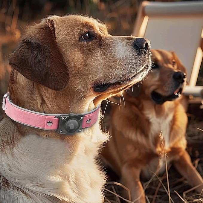 AirTag Dog Collar - Leather Dog Collar with Air Tag Holder | IPX8 Waterproof, Reflective, High - End, Adjustable Soft Padded | Dog GPS Tracker Collars Fit for Medium Large Dogs (Pink, M(12.5"-17.3"))