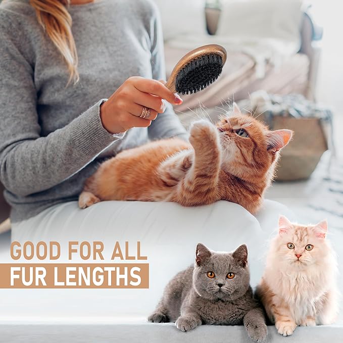 Takavu Boar Bristle Cat Hair Brush, Gentle Grooming Brush with Natural Bristles and Wooden Handle for Sensitive Skin, Pet Cleaning Supplies Keeping Your Cat's Fur Hair Coat Healthy and Shiny