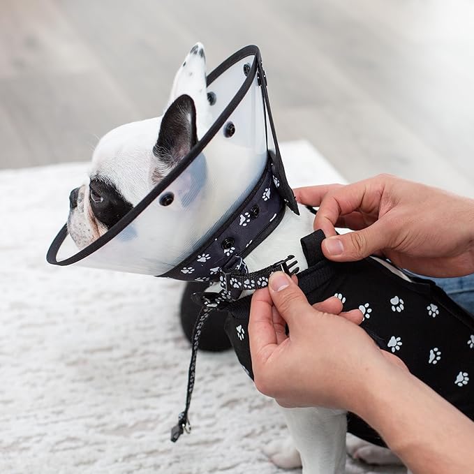 Cat Recovery Cone Kit Post Surgical Soft Pet Vest, Collar, and Non-Irritating Protection Cone for Cats - Comfortable Injury Care Solution (Black with White Paws, Small)