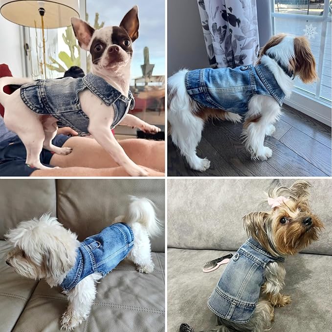 Puppy Clothes for Small Dogs Boy,Classic Western Denim Dog Coat,Dog Jeans Jacket with Leash D-Ring,Pet Cat Costumes,Cooling Harness Vest for Walking (Blue, XX-Large)