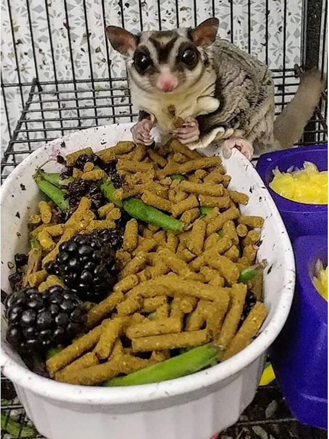 Premium Insectivore Diet (8 lb.) - Healthy Nutritious Chicken Based High Protein Pellet Diet - for Sugar Gliders, Hedgehogs, Opossums, Skunks & Other Insectivores