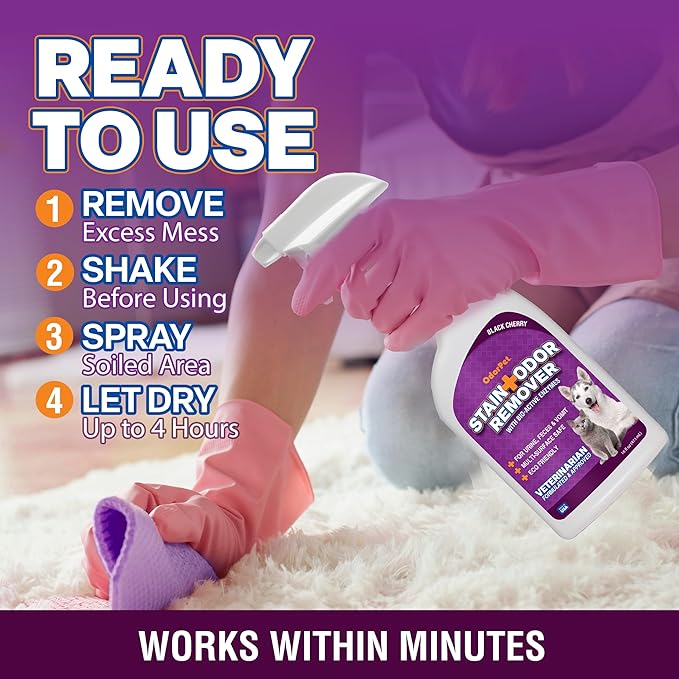 OdorPet Pet Stain Remover and Odor Eliminator - 16 Oz Ready To Use Spray, Non Staining, Professional Strength, Black Cherry Scent by Alpha Tech Pet