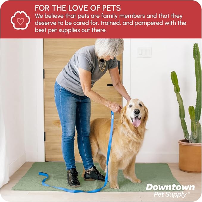 My Doggy Place Microfiber Dog Mat for Muddy Paws, 60" x 36" Sage - Non-Slip, Absorbent and Quick-Drying Dog Paw Cleaning Mat, Washer and Dryer Safe - X-Large/Runner