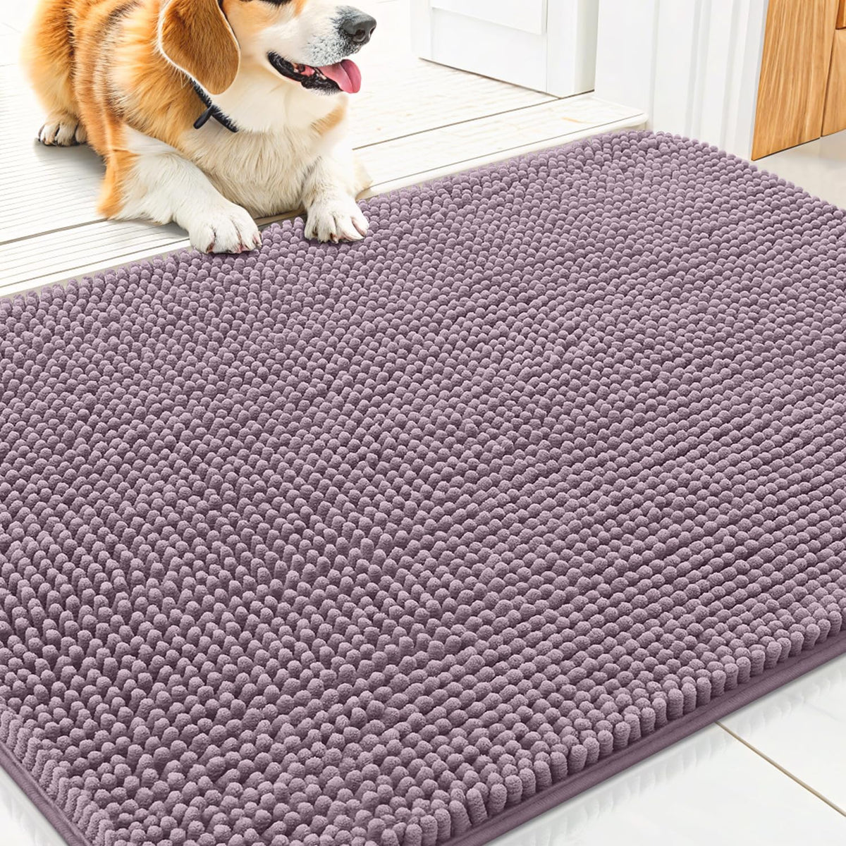 Smiry Dog Door Mat for Muddy Paws 30x20, Absorbs Moisture and Dirt Doormat, Non-Slip Washable Quick Dry Chenille Front Door Mat Indoor Entrance, Entryway Carpet for Inside Floor, Deep Plum