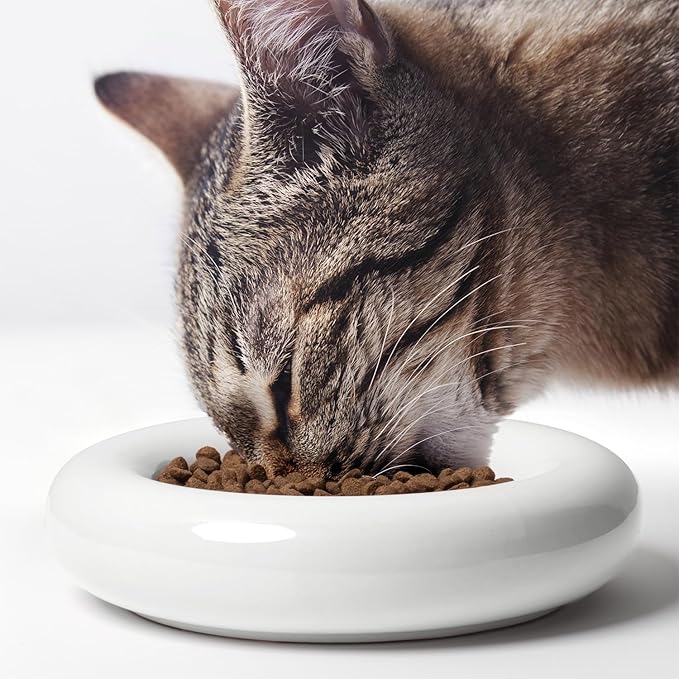 CatGuru Cat Food Bowl, Ceramic Bowls for Indoor Cats, No Spill Cat Feeding Bowl, Whisker Stress Free Kitten Bowls, Non Skin Pet Bowls for Food and Water (Torus - Set of Two, White)
