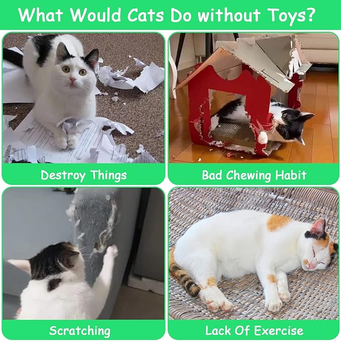 Christmas Cat Toys for Indoor Cats Kitten, Catnip Kitty Toys Pineapple 6Pcs, Interactive Cat Nip Chew Kicker Toy for All Pet Breed
