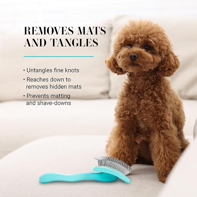 Chris Christensen Big G Dog Slicker Brush for Dogs (Goldendoodles, Labradoodles, Poodles), Groom Like a Professional, Fluff Detangle Style, Saves Time Energy, Teal, Medium