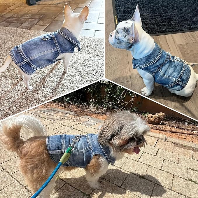 Puppy Clothes for Small Dogs Boy,Classic Western Denim Dog Coat,Dog Jeans Jacket with Leash D-Ring,Pet Cat Costumes,Cooling Harness Vest for Walking (Blue, X-Large)