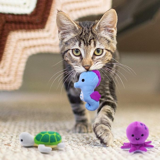 Catnip Toys for Indoor Cats Kitten Interactive Toys for Cat Lovers Gifts Chew Bite Kick Toys Supplies Lobster Octopus Crab Starfish Seahorse Sea Turtle Seafood Plush Catmint Pet Presents Set of 6