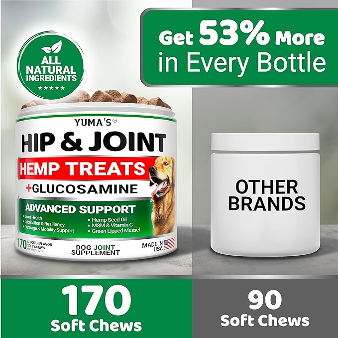 YUMA'S Hemp Hip and Joint Supplement for Dogs - Glucosamine for Dogs - 170 Joint Pain Relief Chews - Chondroitin, MSM - Hemp Oil - Advanced Canine Health Supplement - Mobility Support Treats