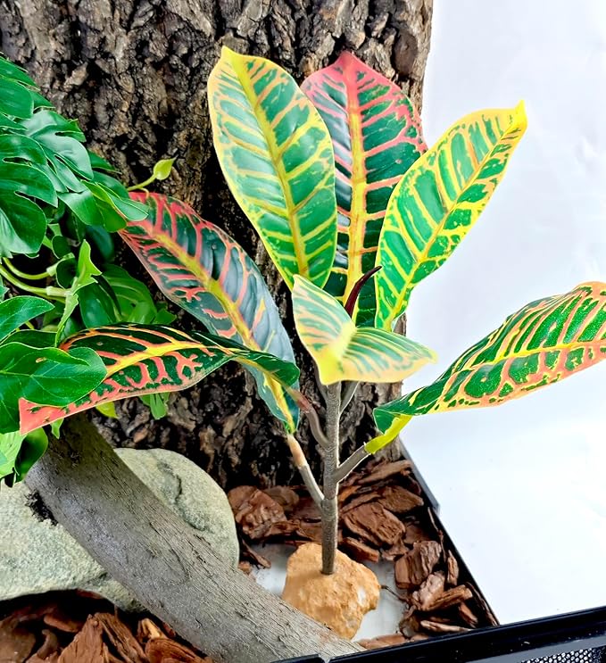 Woyrise Reptile Plants for Terrarium, 9" Fake Rubber Tree Ball Python Tank Accessories Habitat Decor fit Crested Gecko Leopard Bearded Dragon Lizard Chameleon Snake - Codiaeum variegatum