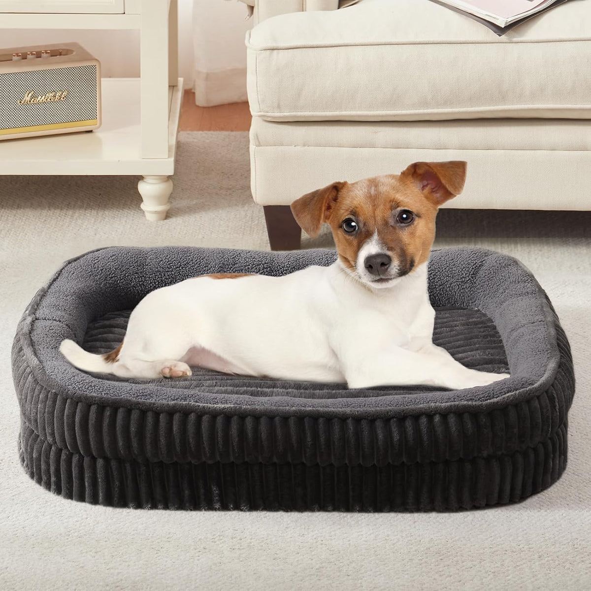 Orthopedic Dog Bed for Small Dogs Breeds, High Density Egg Crate Foam Dog Sofa Beds,Oval Kennel Bed, Pet Couch Bed with Four Sided Bolster, Removable Washable Cover& Non-Slip Bottom