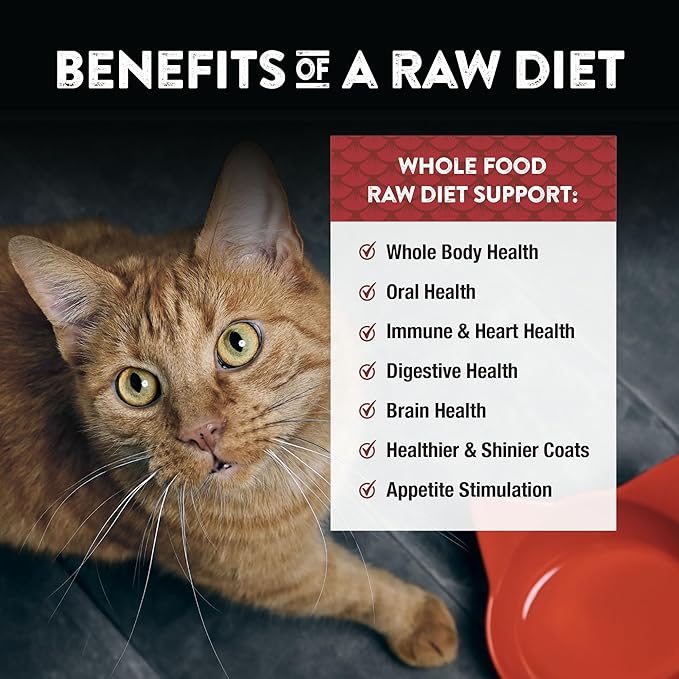 Northwest Naturals Freeze-Dried Beef & Trout Cat & Kitten Food – Bite-Sized Nibbles – Healthy, Limited, Human-Grade Ingredients, All-Natural, High-Protein Diet – Complete & Balanced, 11 oz (Pack of 3)