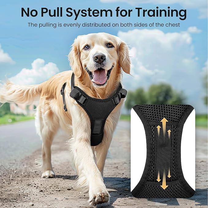 Light Up Dog Harness,Reflective Pet Harness Rechargeable,Led Dog Vest Harness for Night Walking,Adjustable Dog Safety Vest for Small Medium Large Dogs-No Pull,Black,L