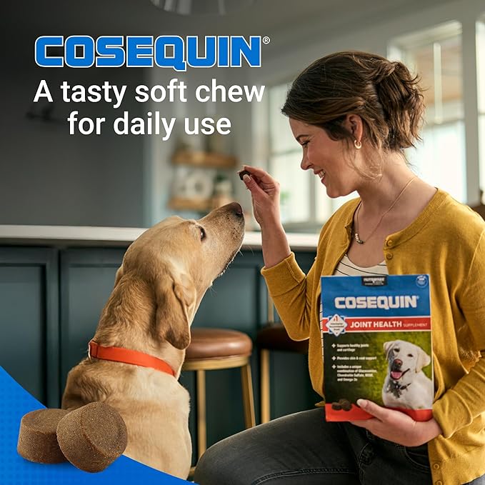 COSEQUIN Maximum Strength Joint Supplement Plus MSM & Omega-3's - With Glucosamine and Chondroitin - For Dogs of All Sizes (Soft Chews)