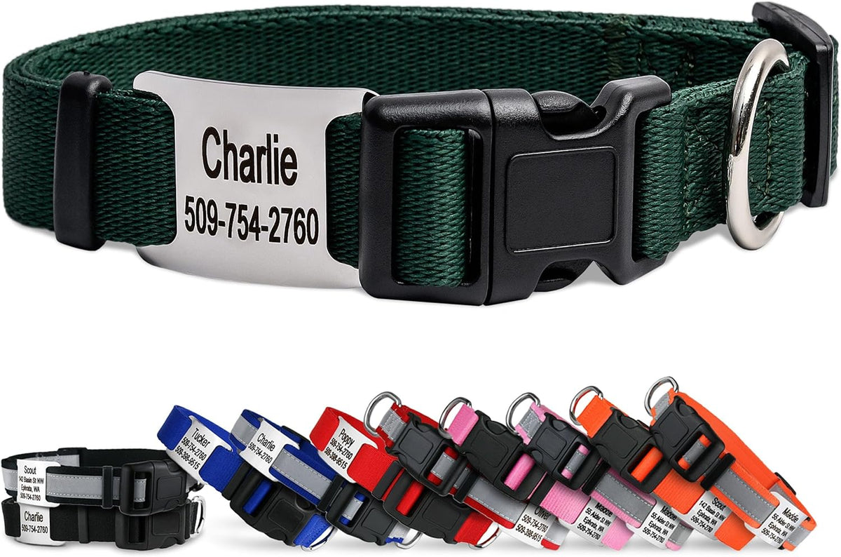 GoTags Personalized Dog Collar with Nameplate, Adjustable Dog Collar with Custom Engraved Slide On Pet ID Tag in Stainless Steel, Silent, No Noise Dog Tag (Hunter Green, Small)